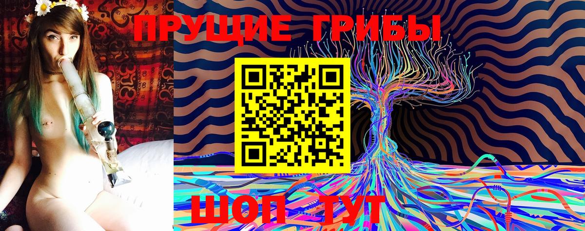 Галлюциногенные грибы MAGIC MUSHROOMS  Вход с VPN  Коряжма 