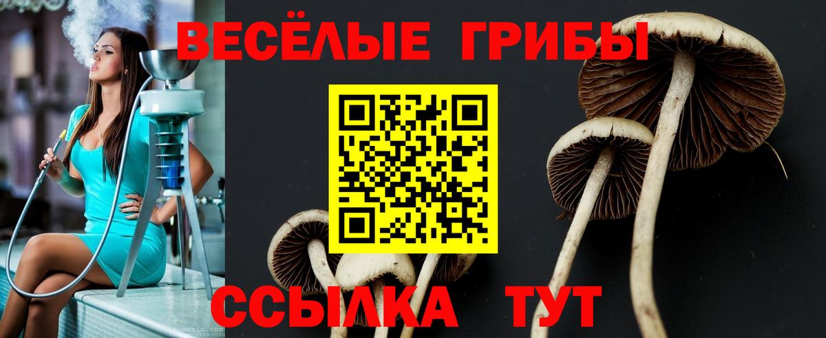 Псилоцибиновые грибы мухоморы Коряжма